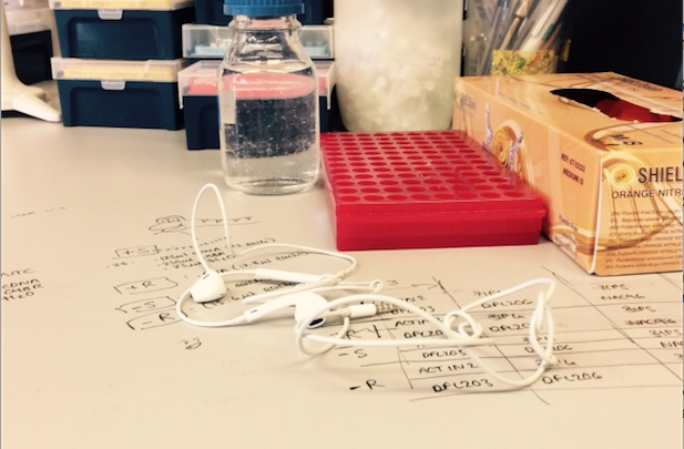 The PhD Playlist – Nicola