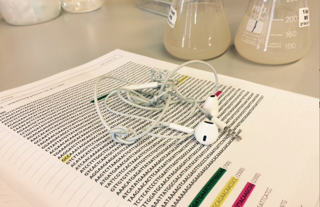 The PhD Playlist – Marie