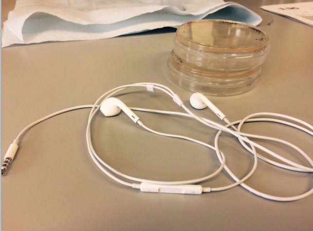 The PhD Playlist – Toby Buttress