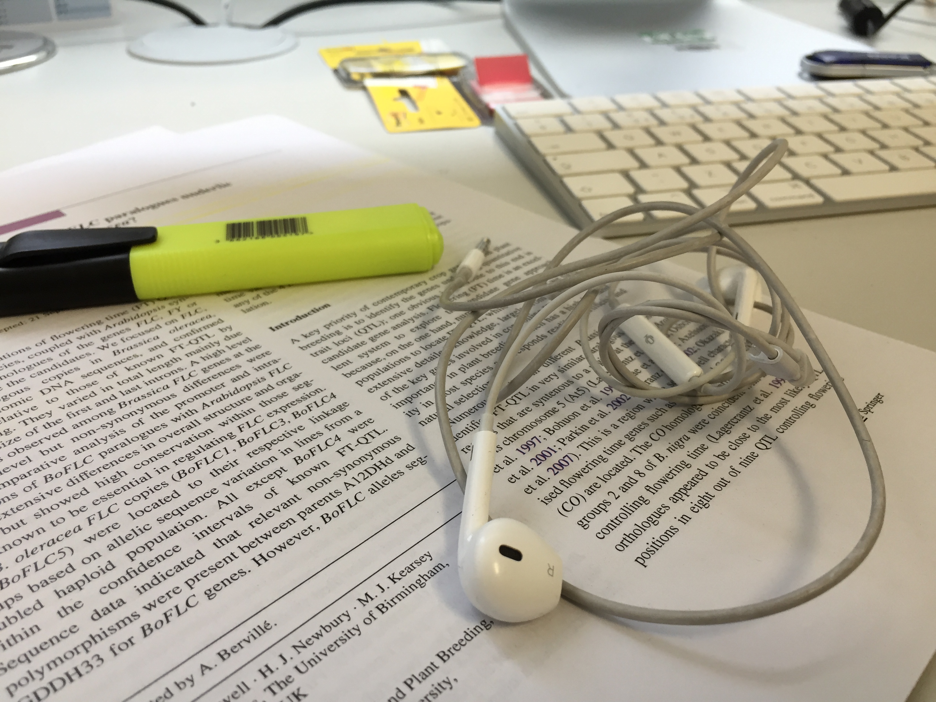 The PhD Playlist – Lira Palmer