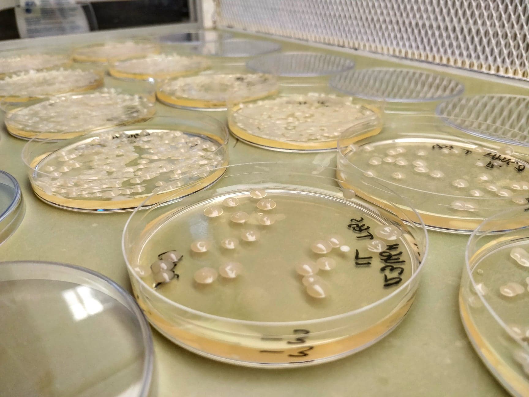 PhD Profile – Danny Ward
