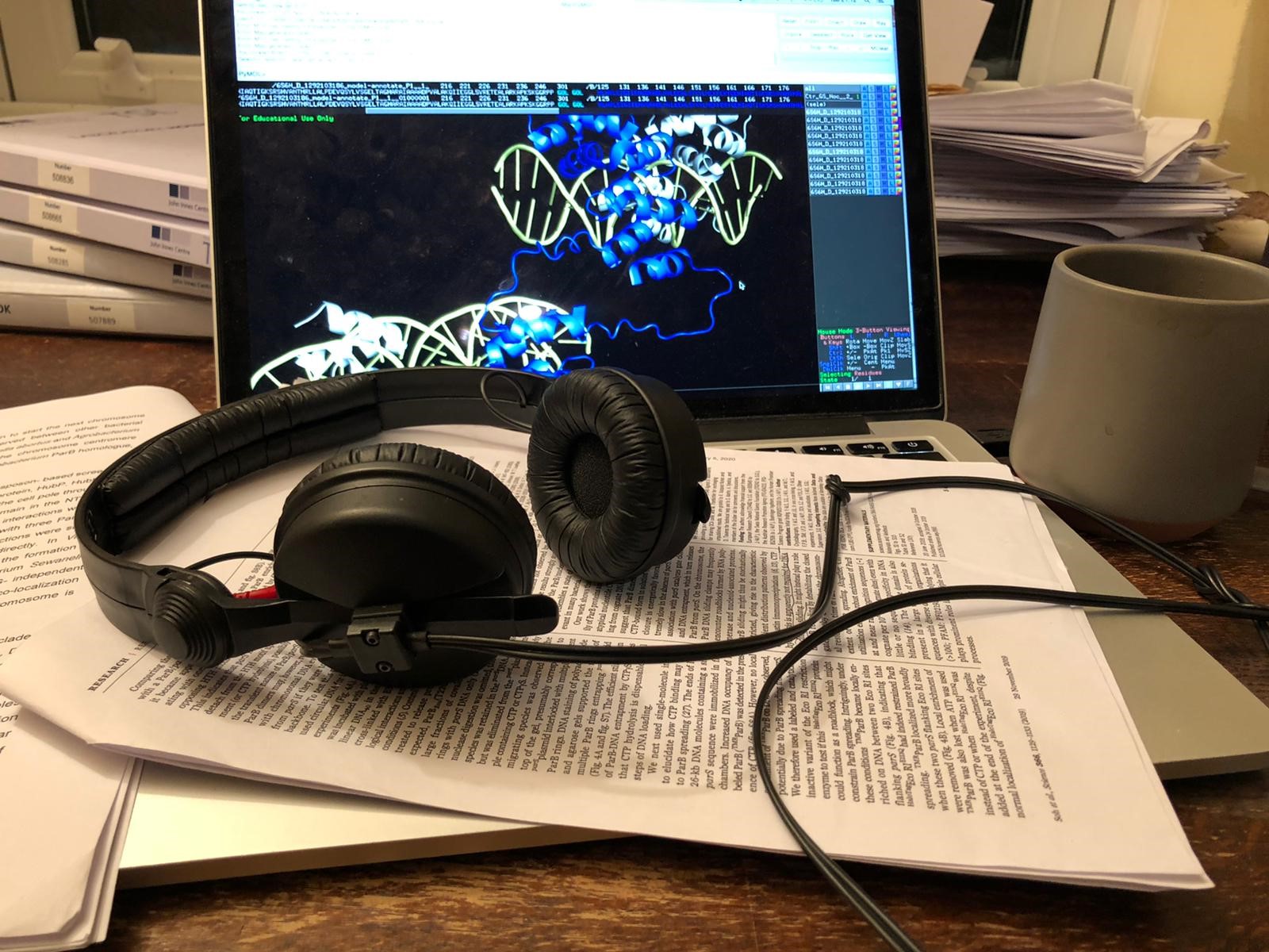 PhD Playlist – Adam Jalal